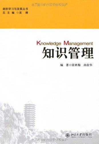 知识管理 (组织学习与发展丛书)