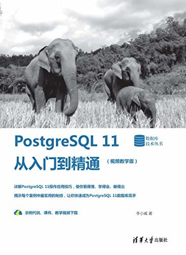 PostgreSQL 11从入门到精通(视频教学版)