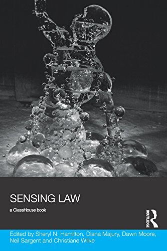 Sensing Law (Social Justice) (English Edition)