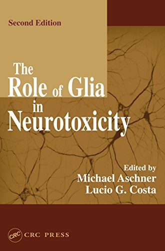The Role of Glia in Neurotoxicity (English Edition)