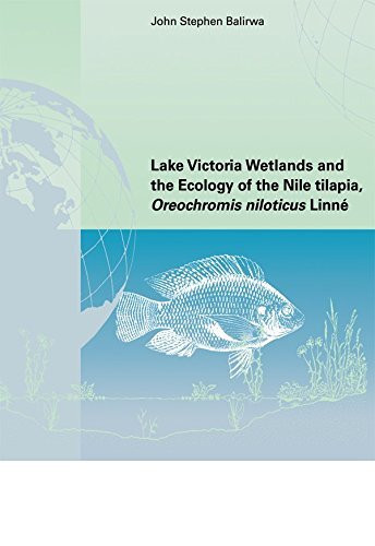 Lake Victoria Wetlands and the Ecology of the Nile Tilapia (English Edition)