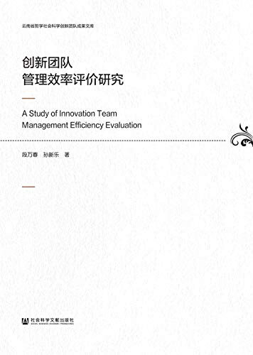 创新团队管理效率评价研究 (云南省哲学社会科学创新团队成果文库)