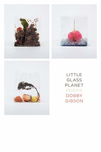 Little Glass Planet: Poems (English Edition)