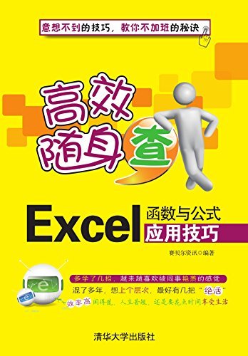 Excel函数与公式应用技巧 (高效随身查)