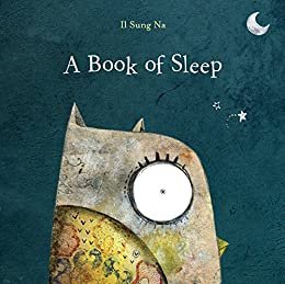 A Book of Sleep (English Edition)