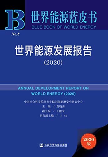 世界能源发展报告（2020） (世界能源蓝皮书)