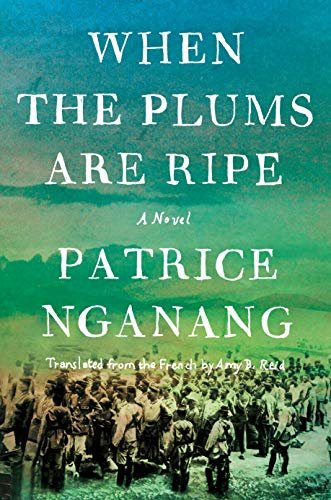 When the Plums Are Ripe: A Novel (English Edition)