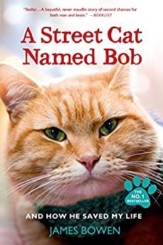 A Street Cat Named Bob: And How He Saved My Life (English Edition)