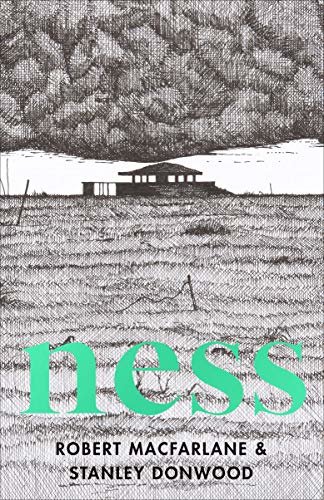 Ness (English Edition)