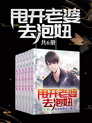 甩开老婆去泡妞（全卷共六册，人气畅销作家风中的阳光的经典之作！豆瓣高分超人气神作！引领时尚，开创男人逃婚的先河！）