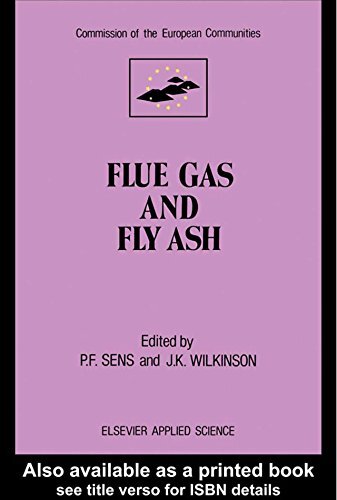 Flue Gas and Fly Ash (English Edition)