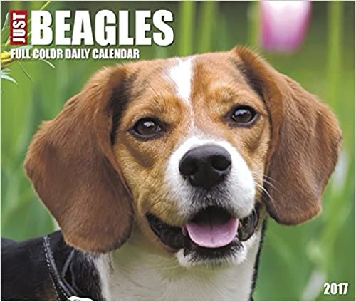 Just Beagles 2017 盒子日历(狗品种日历)
