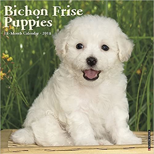 Bichon Friise Puppies 2018日历