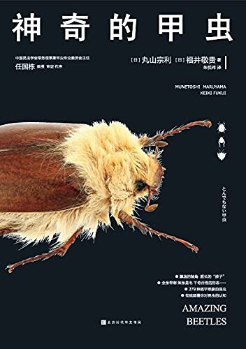 神奇的甲虫（集知识性与鉴赏性为一体，5个专栏介绍超有趣的甲虫“冷知识”）