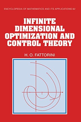 Infinite Dimensional Optimization and Control Theory (Encyclopedia of Mathematics and its Applications Book 62) (English Edition)