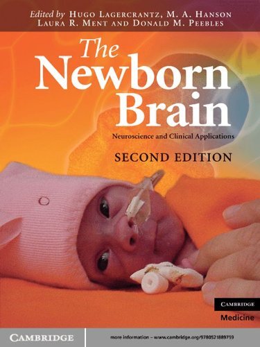 The Newborn Brain: Neuroscience and Clinical Applications (English Edition)