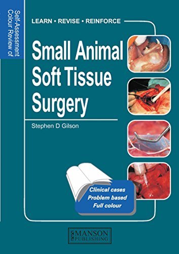 Small Animal Soft Tissue Surgery: Self-Assessment Color Review (Veterinary Self-Assessment Color Review Series) (English Edition)