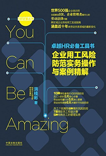 卓越HR必备工具书：企业用工风险防范实务操作与案例精解 (HR必备丛书)