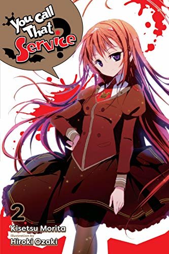 You Call That Service?, Vol. 2 (light novel) (You Call That Service? (light novel)) (English Edition)