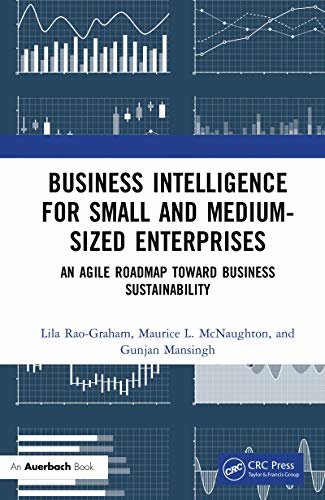 Business Intelligence for Small and Medium-Sized Enterprises: An Agile Roadmap toward Business Sustainability (English Edition)