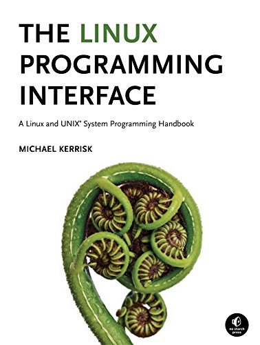 The Linux Programming Interface: A Linux and UNIX System Programming Handbook (English Edition)