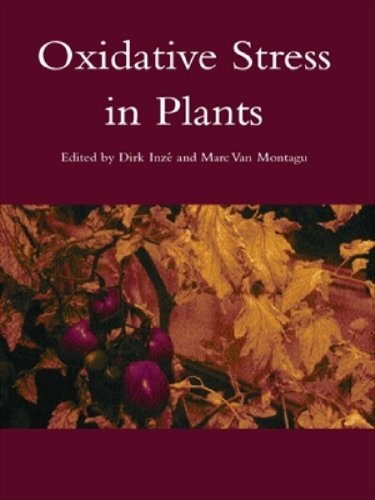 Oxidative Stress in Plants (English Edition)
