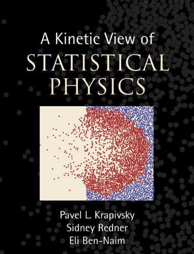 A Kinetic View of Statistical Physics (English Edition)