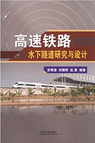 高速铁路水下隧道研究与设计(精)