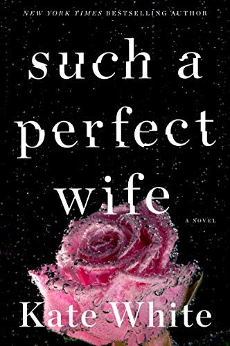 Such a Perfect Wife: A Novel (English Edition)