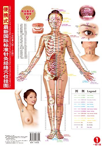 便携式最新国际标准针灸经络穴位挂图（女性真人版） (中国传统医学挂图系列)