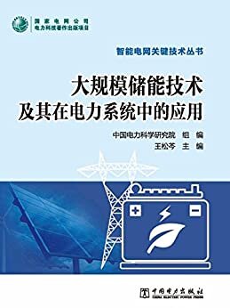 大规模储能技术及其在电力系统中的应用 (智能电网关键技术丛书)