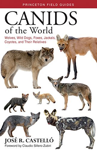 Canids of the World: Wolves, Wild Dogs, Foxes, Jackals, Coyotes, and Their Relatives (Princeton Field Guides Book 135) (English Edition)