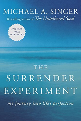 The Surrender Experiment: My Journey into Life's Perfection (English Edition)