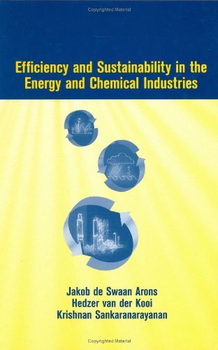 Efficiency And Sustainability In The Energy And Chemical Industries (English Edition)