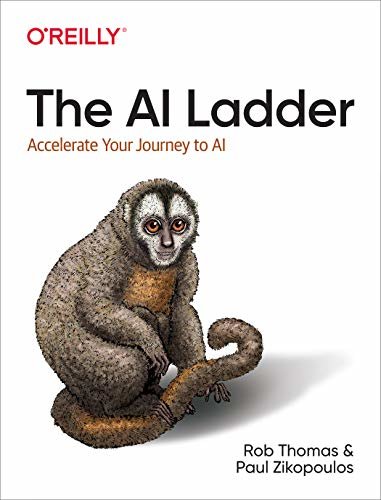 The AI Ladder: Accelerate Your Journey to AI (English Edition)