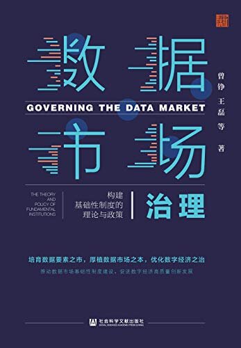 数据市场治理：构建基础性制度的理论与政策【直击数据市场基础性制度建设，深入理论探讨，数据治理何以成为制度的“四梁八柱”】 (新经济系列丛书)