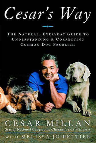 Cesar's Way: The Natural, Everyday Guide to Understanding and Correcting Common Dog Problems (English Edition)