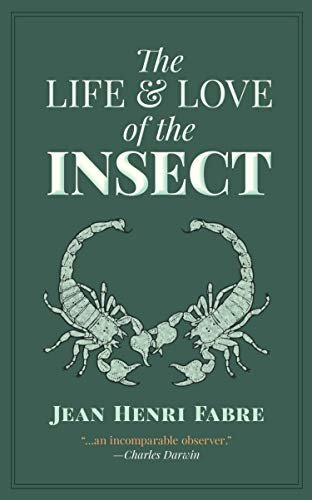 The Life and Love of the Insect (English Edition)