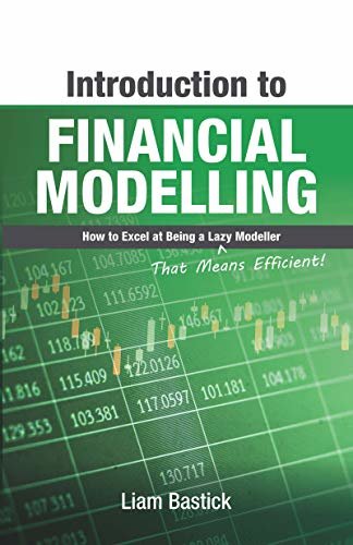 Introduction To Financial Modelling: How to Excel at Being a Lazy (That Means Efficient!) Modeller (English Edition)
