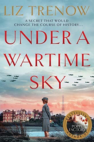 Under a Wartime Sky (English Edition)