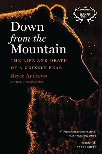 Down from the Mountain: The Life and Death of a Grizzly Bear (English Edition)