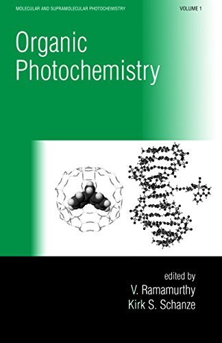 Organic Photochemistry (Molecular and Supramolecular Photochemistry Book 1) (English Edition)
