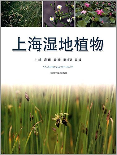 上海湿地植物