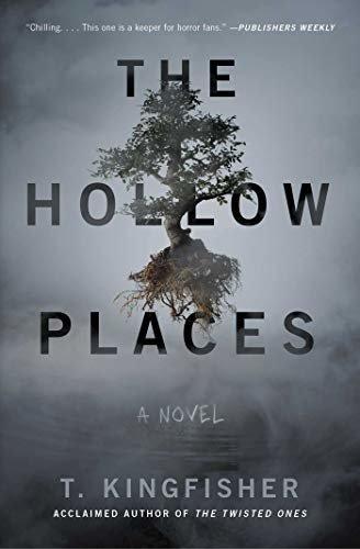 The Hollow Places: A Novel (English Edition)