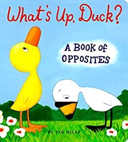 What's Up, Duck?: A Book of Opposites (Duck & Goose) (English Edition)