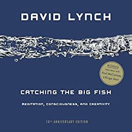 Catching the Big Fish: Meditation, Consciousness, and Creativity: 10th Anniversary Edition (English Edition)