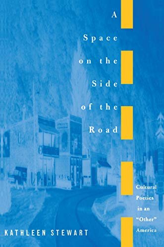 A Space on the Side of the Road: Cultural Poetics in an "Other" America (English Edition)