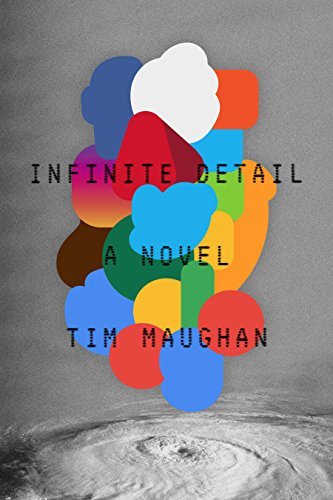 Infinite Detail: A Novel (English Edition)