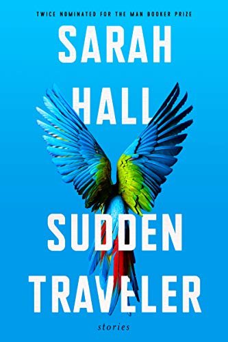 Sudden Traveler: Stories (English Edition)