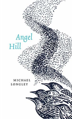 Angel Hill (English Edition)